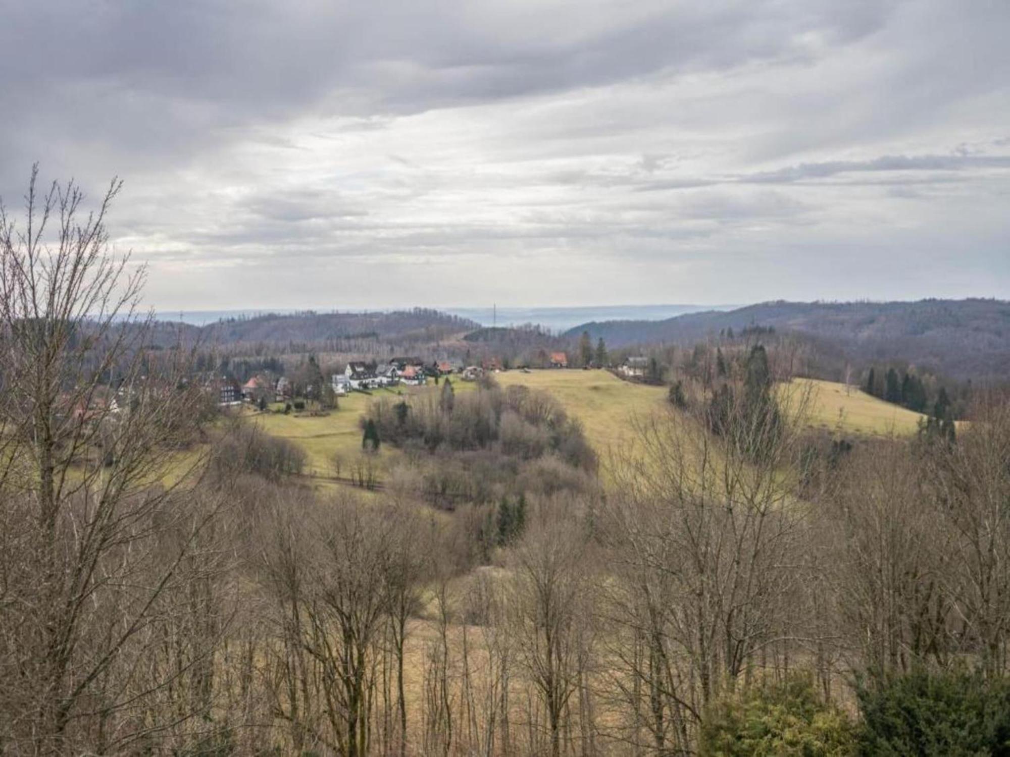 Cozy Apartment In Braunlage Near Forest Hohegeiß Dış mekan fotoğraf