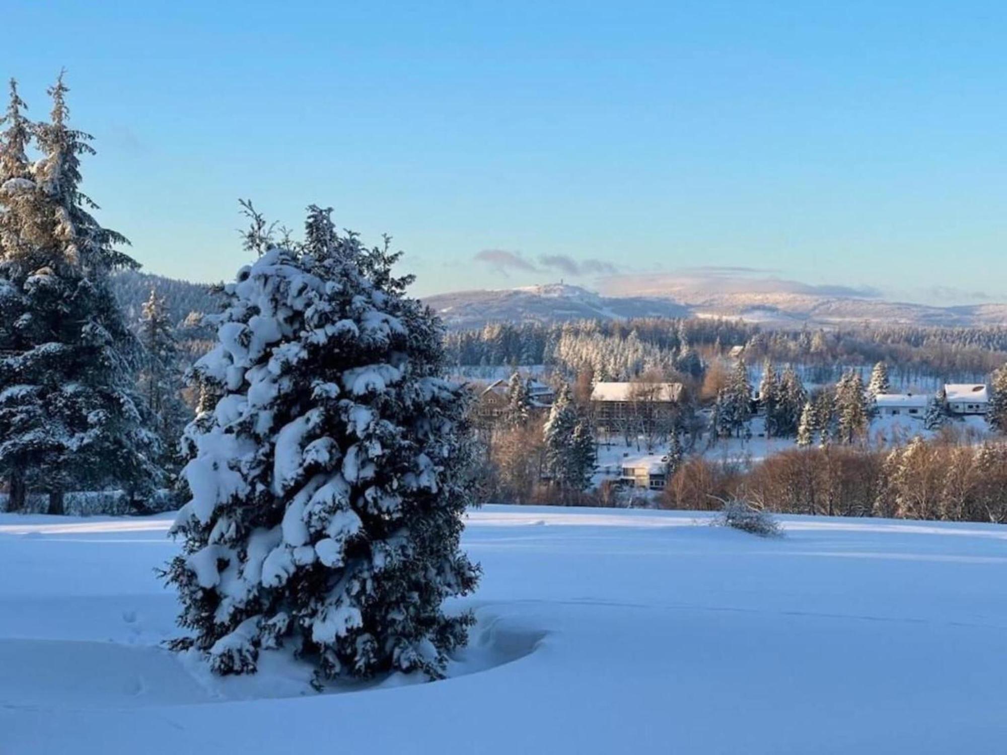 Cozy Apartment In Braunlage Near Forest Hohegeiß Dış mekan fotoğraf