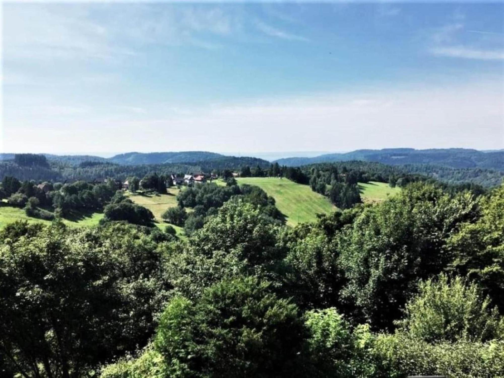 Cozy Apartment In Braunlage Near Forest Hohegeiß Dış mekan fotoğraf
