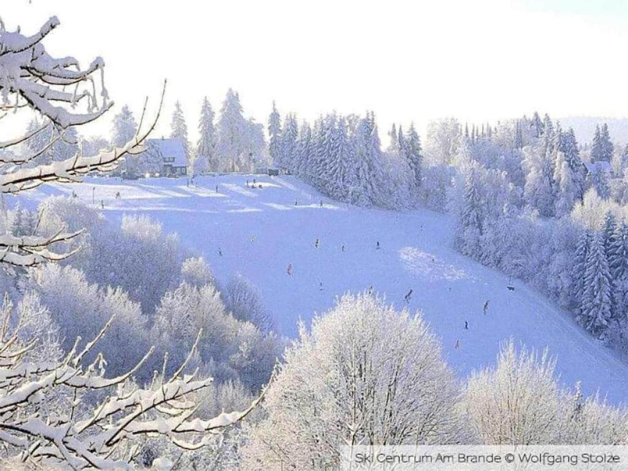Cozy Apartment In Braunlage Near Forest Hohegeiß Dış mekan fotoğraf