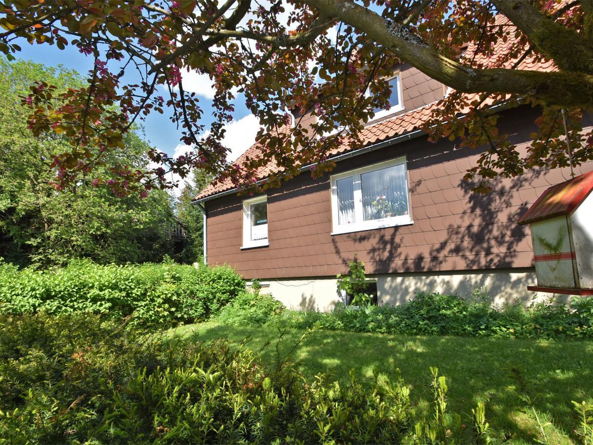 Cozy Apartment In Braunlage Near Forest Hohegeiß Dış mekan fotoğraf